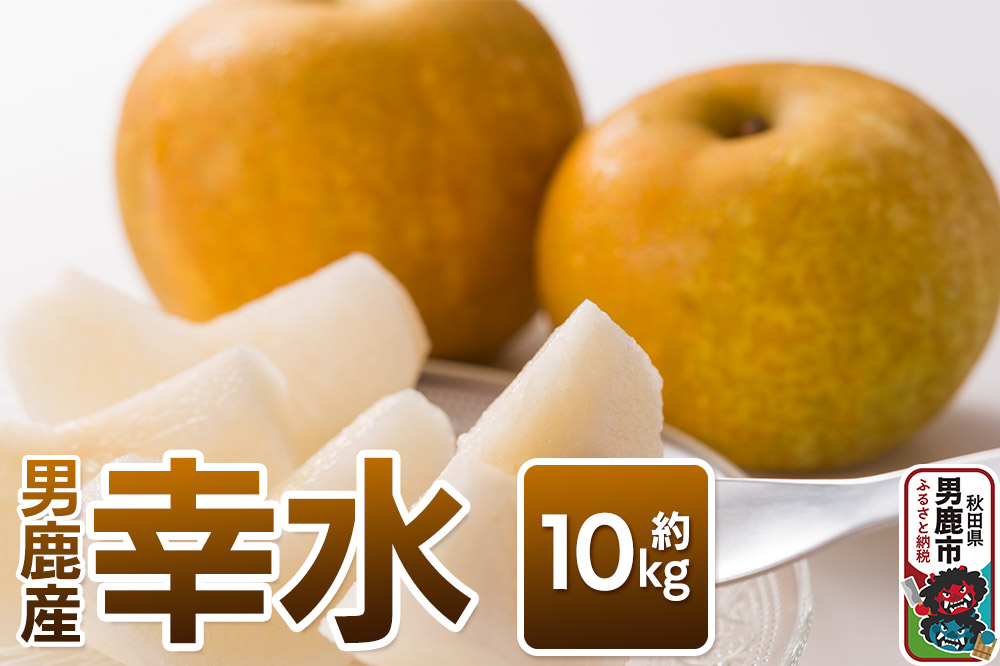 【令和8年度 早期受付】幸水 約10kg 9月上旬〜9月中旬発送 梨 旬の果物 ギフト 秋田県 男鹿市 男鹿ファーム直売所