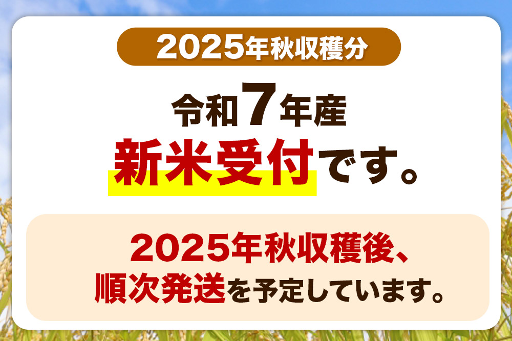 《令和7年産 新米受付》《定期便8ヶ月》【白米】家計お助け米 あきたこまち 10kg（5kg×2袋）