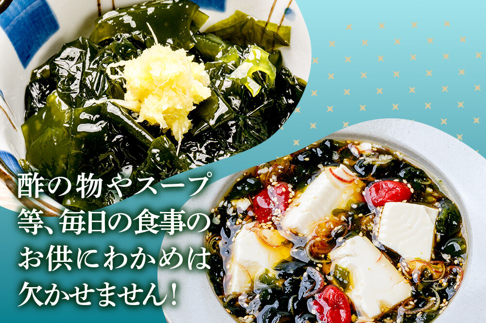わかめ 男鹿名物とろとろわかめ 200g×30個セット 男鹿なび [ワカメ 冷凍 男鹿市 名産 秋田 海藻 サラダ みそ汁]