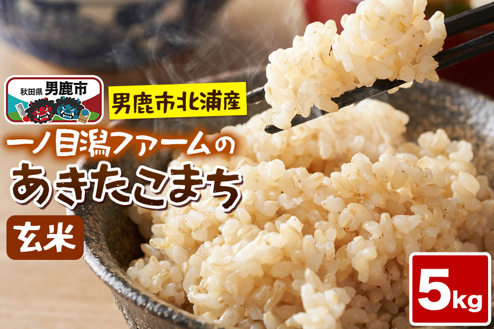 ＜令和7年産＞「秋田県男鹿市北浦産」あきたこまち（玄米）5kg