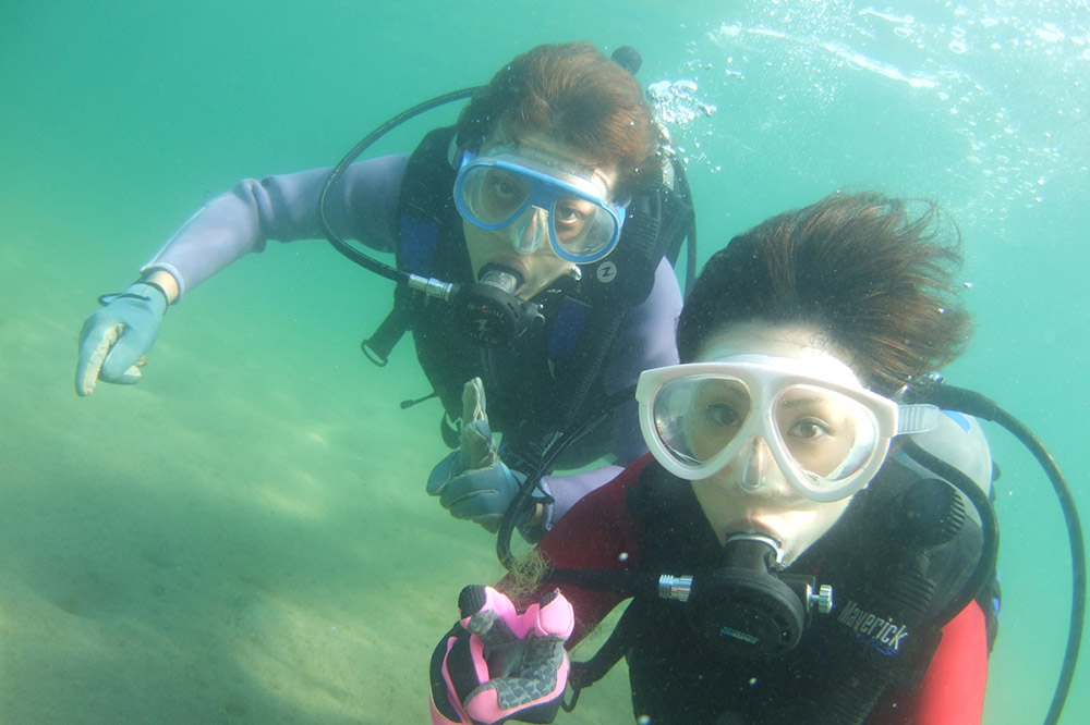 【なまはげの海でダイビング！！】 海洋体験ビーチダイビング 1名様 秋田県 男鹿半島 男鹿市