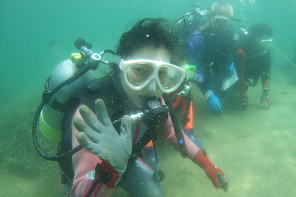 【なまはげの海でダイビング！！】 海洋体験ビーチダイビング 1名様 秋田県 男鹿半島 男鹿市