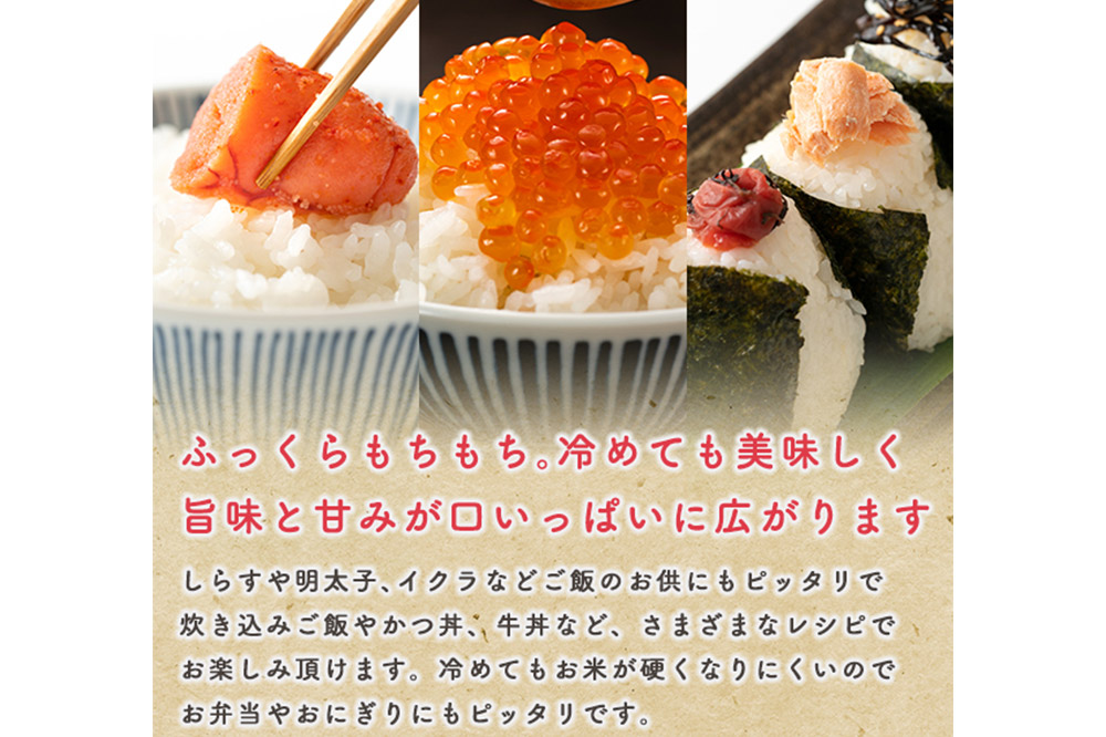 《定期便9ヶ月》令和7年産 【白米】家計お助け米 あきたこまち 10kg（5kg×2袋）