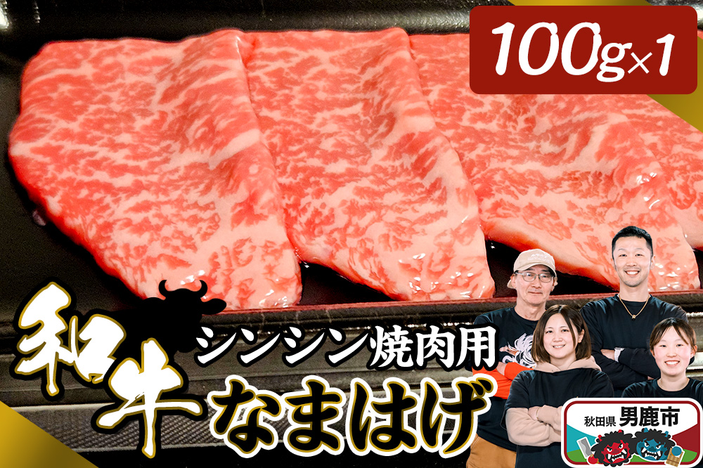 和牛なまはげ シンシン焼肉用 100g 大進農場