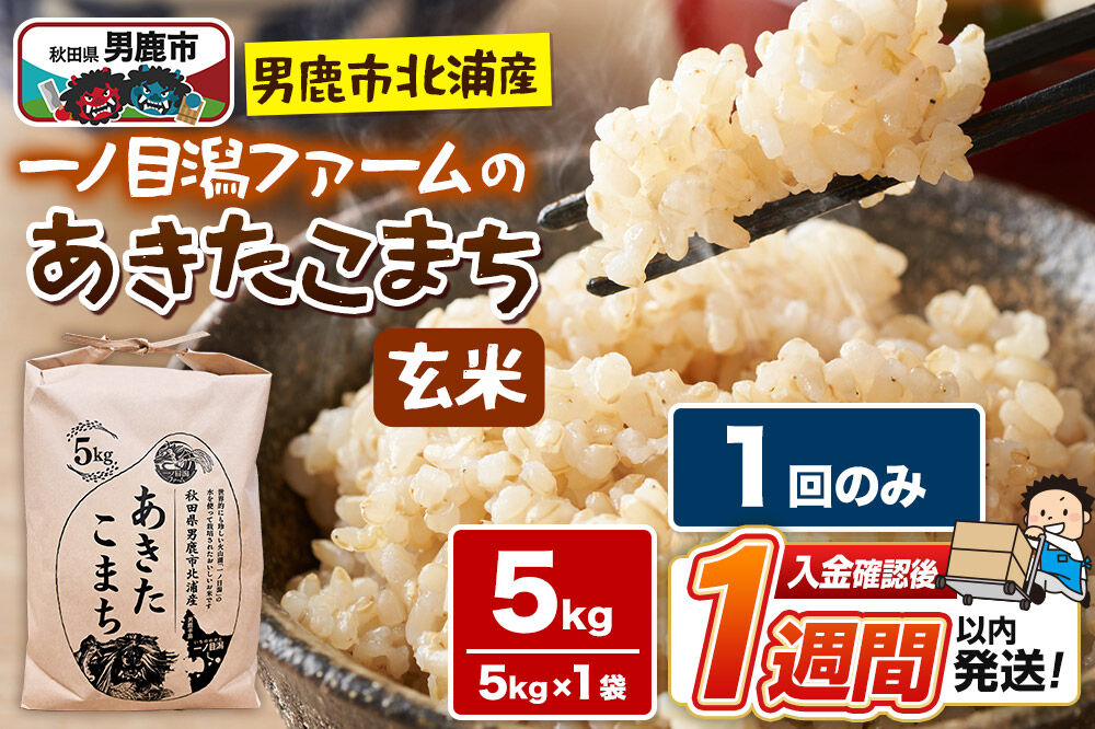 ＜令和7年産＞「秋田県男鹿市北浦産」あきたこまち（玄米）5kg [あきたこまち ブランド米 お米 玄米 米どころ 秋田 秋田県産 男鹿市北浦産]