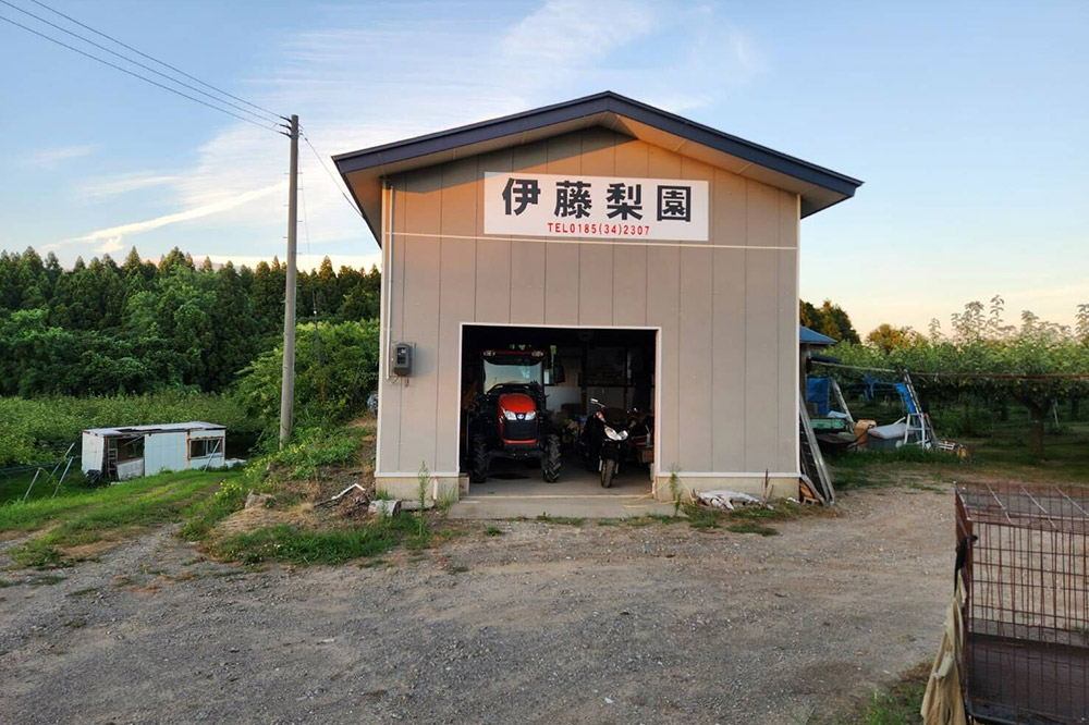 【先行受付】男鹿梨 「伊藤梨園」の南水 梨 約5kg 2L〜3L 14玉〜16玉 秋田県 男鹿市 旬の果物 2026年10月中旬以降出荷
