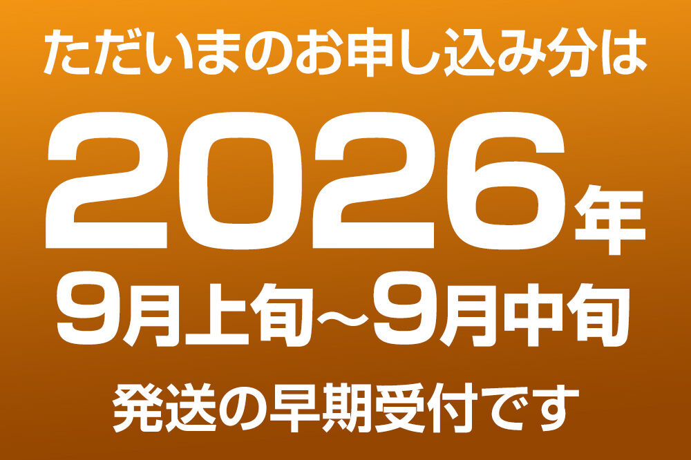 《先行受付》梨 幸水 10kg前後（3L〜2L）28〜32玉 秋田なまはげ農業協同組合 秋田県 男鹿市 [先行受付 なし ナシ 果物 くだもの 幸水 夏]