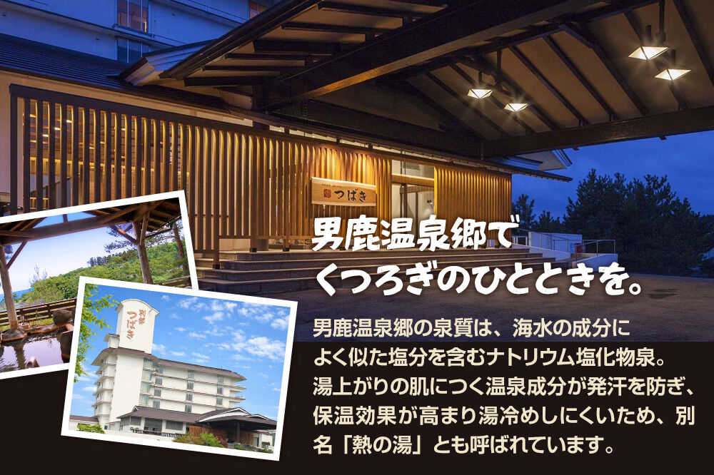 観光 男鹿半島観光満喫プラン（2名様2泊3日）【楽々タクシー移動】秋田県 男鹿市 [男鹿半島 観光プラン 2泊3日 ペア旅行 タクシー移動付き 秋田旅行]