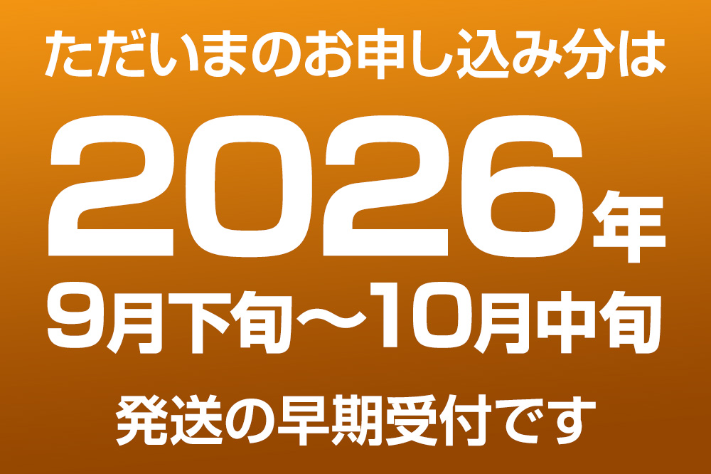 【令和8年度 早期受付】秋泉 梨 4玉 6L〜 梨 なし ナシ 秋田県 男鹿市 旬の果物 フルーツ