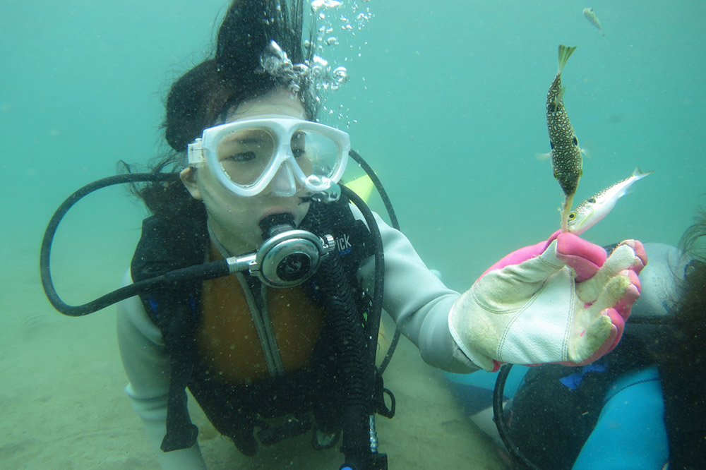【なまはげの海でダイビング！！】 海洋体験ビーチダイビング 1名様 秋田県 男鹿半島 男鹿市