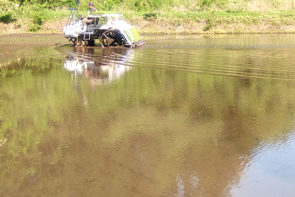 《令和8年産新米受付》 あきたこまち 精米 10kg（5kg×2袋） 【定期便2ヶ月】 吉元耕業 秋田県 男鹿市 [新米 あきたこまち ブランド米 お米 白米 精米 米どころ 秋田 男鹿市 秋田県産 あきたこまち ブランド米 お米 白米 精米 米どころ 秋田 男鹿市 秋田県産]