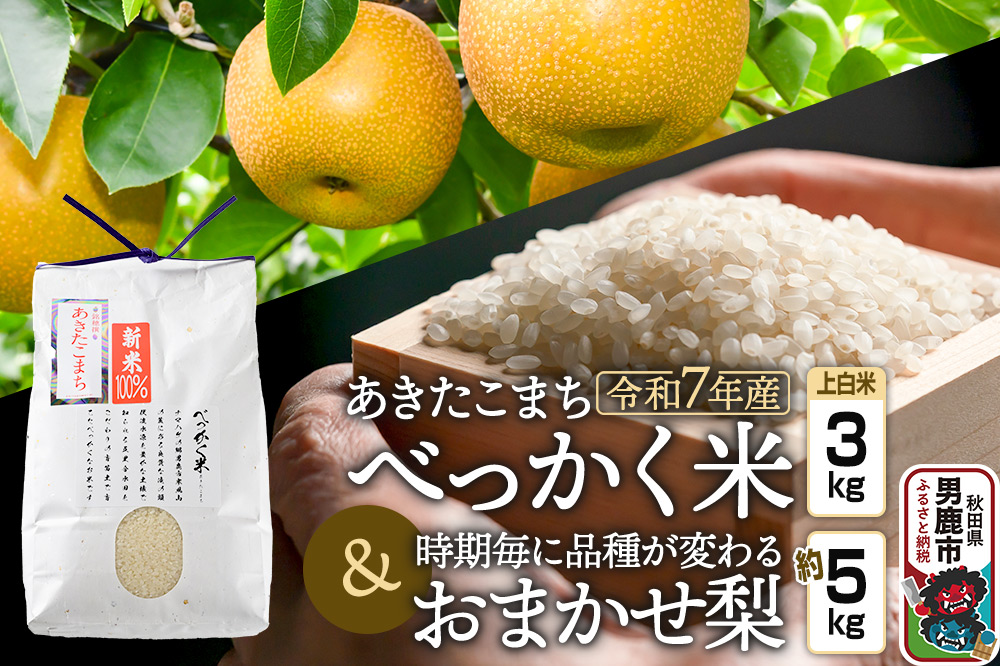 《令和7年産 新米受付》べっかく米 あきたこまち（上白米）3kgと梨 約5kgのセット 秋田県 男鹿市 男鹿ファーム直売所