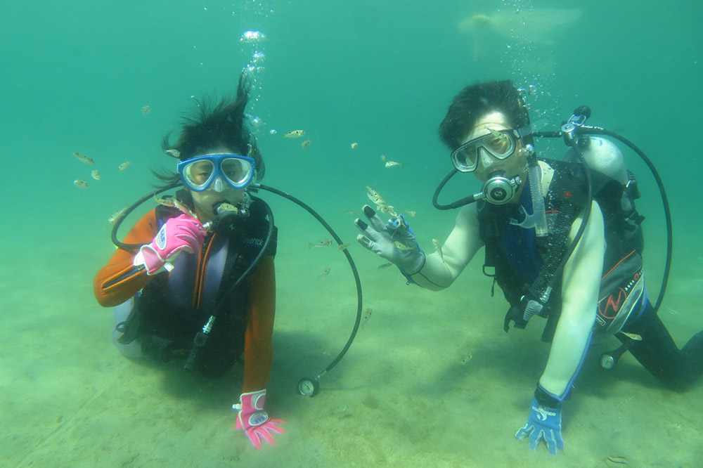 【なまはげの海でダイビング！！】 海洋体験ビーチダイビング 1名様 秋田県 男鹿半島 男鹿市