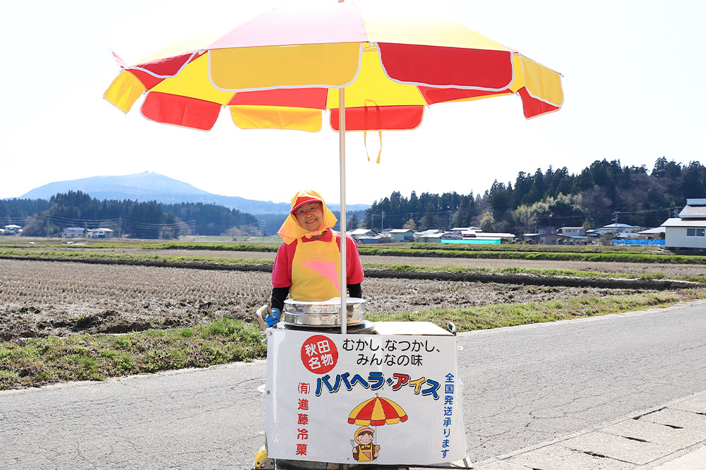 バラ盛りカップ6個＆メロンバラ盛りカップ6個（12個）セット【進藤冷菓】 ご当地アイス