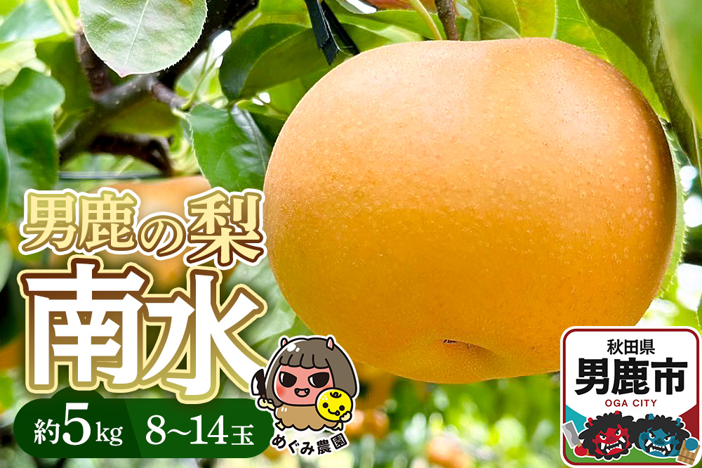 《先行受付》男鹿の梨 南水 約5kg 8〜14玉 梨 秋田県 男鹿市 ＜めぐみ農園＞ 2026年9月下旬より発送
