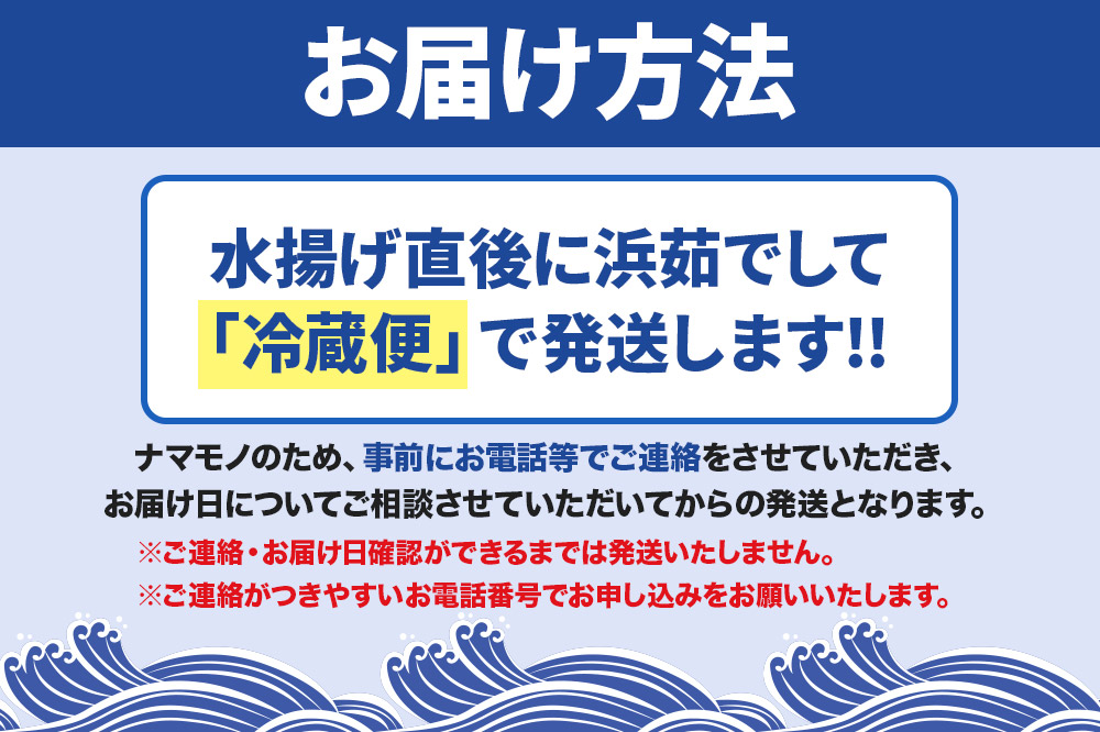 男鹿沖産紅ズワイガニ 550g 前後×4杯 男鹿なび 蟹 カニ 国産 秋田 ずわい蟹 ずわいガニ