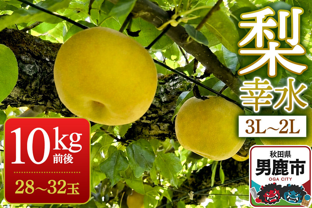 《先行受付》梨 幸水 10kg前後（3L〜2L）28〜32玉 秋田なまはげ農業協同組合 秋田県 男鹿市 [先行受付 なし ナシ 果物 くだもの 幸水 夏]