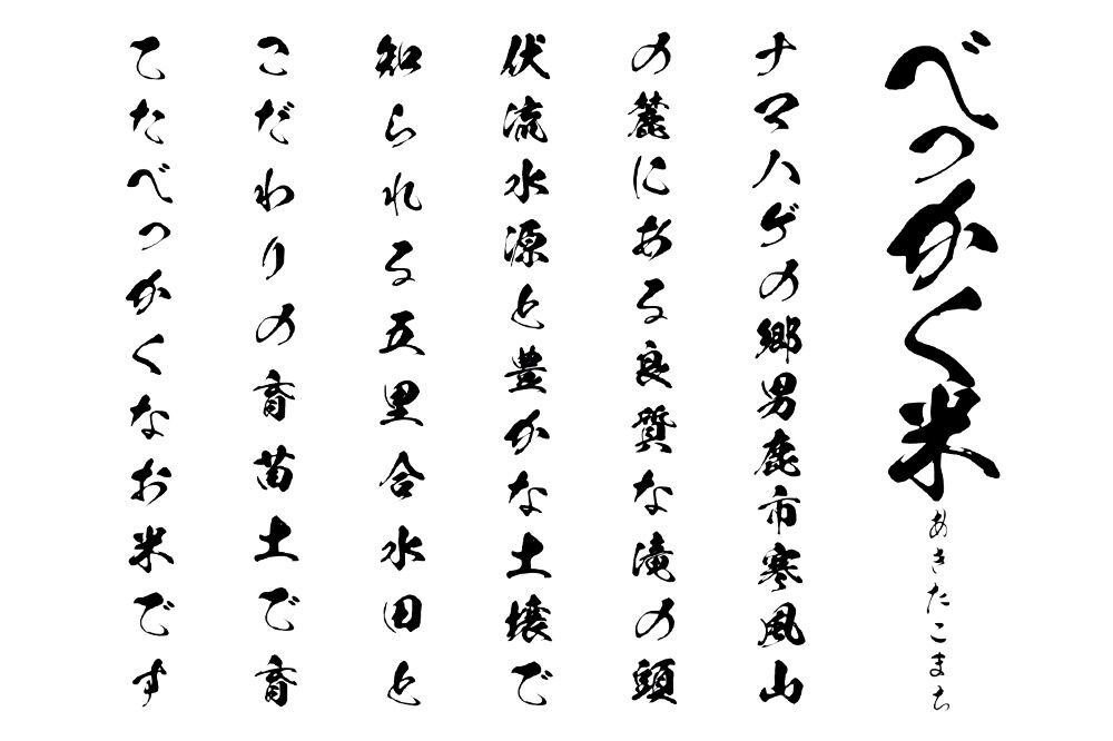 あきたこまち べっかく米 （上白米） 3kg 【新米先行受付】 令和8年産 男鹿ファーム直売所 秋田県 男鹿市 [新米 先行受付 秋田 男鹿]