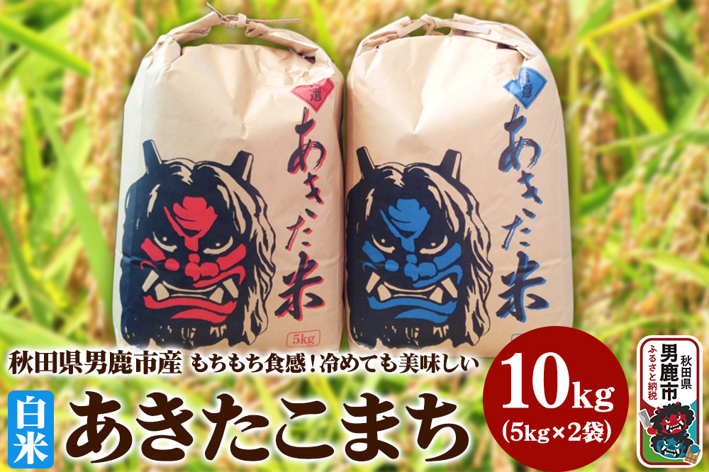 米 令和7年産 あきたこまち 精米 単一原料米 10kg（5kg×2袋）秋田県 男鹿市