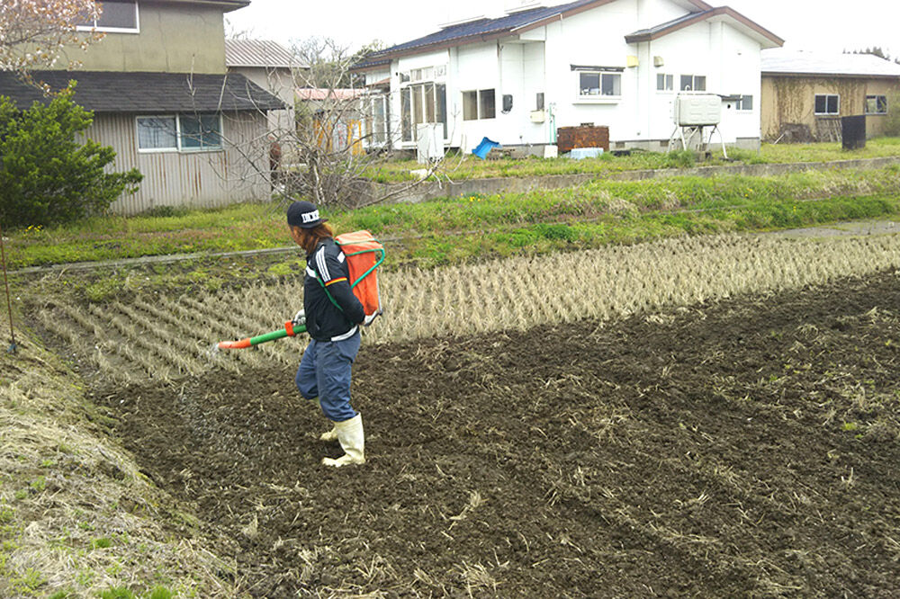 《令和8年産新米受付》 あきたこまち 精米 10kg（5kg×2袋） 吉元耕業 秋田県 男鹿市 [新米 あきたこまち ブランド米 お米 白米 精米 米どころ 秋田 男鹿市 秋田県産 あきたこまち ブランド米 お米 白米 精米 米どころ 秋田 男鹿市 秋田県産]