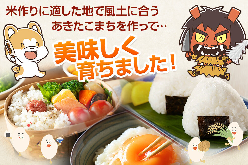 あきたこまち ＜令和8年産 新米受付＞ 白米 10kg（5kg×2袋） 鈴木農産 [あきたこまち ブランド米 お米 白米 精米 米どころ 秋田 秋田県産 定期便]