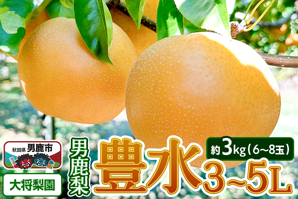 【先行受付】2026年9月中旬〜下旬発送 男鹿梨「大将梨園」豊水 約3kg 6〜8玉 3〜5L 梨 秋田県 男鹿市