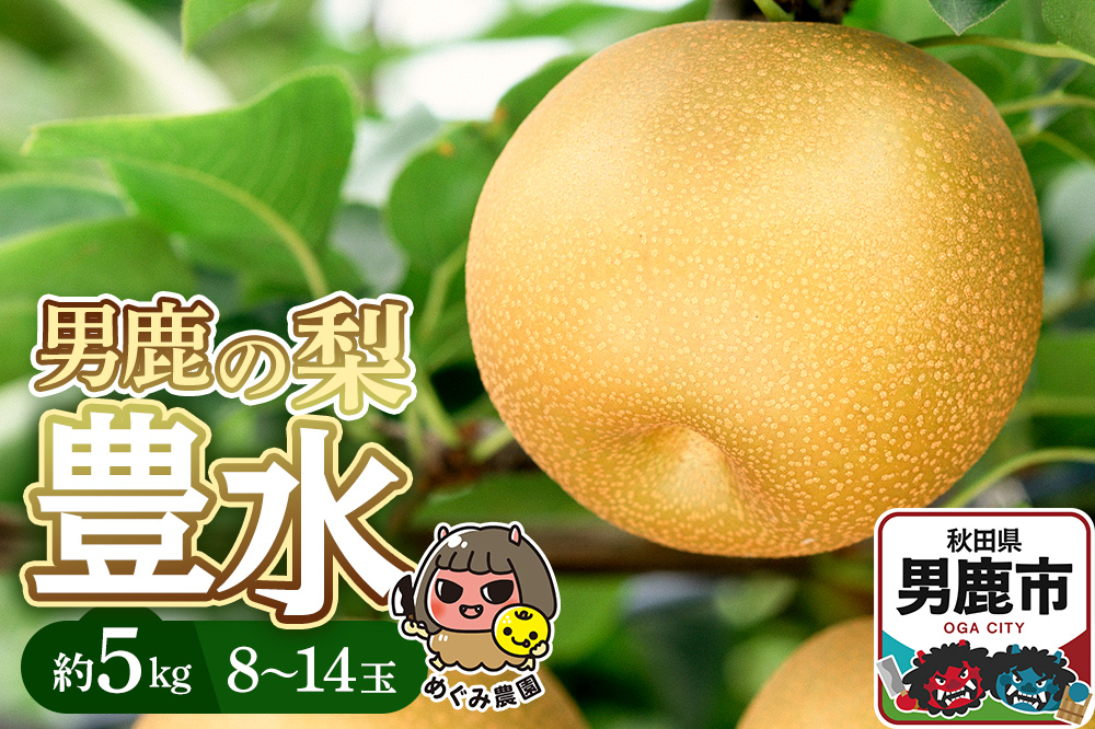《先行受付》男鹿の梨 豊水 約5kg 8〜14玉 梨 秋田県 男鹿市 ＜めぐみ農園＞ 2026年9月中旬より発送