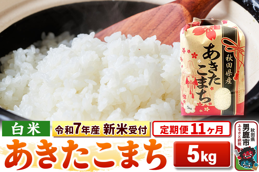 《令和7年産 新米受付》《定期便11ヶ月》【白米】秋田県産 あきたこまち 5kg