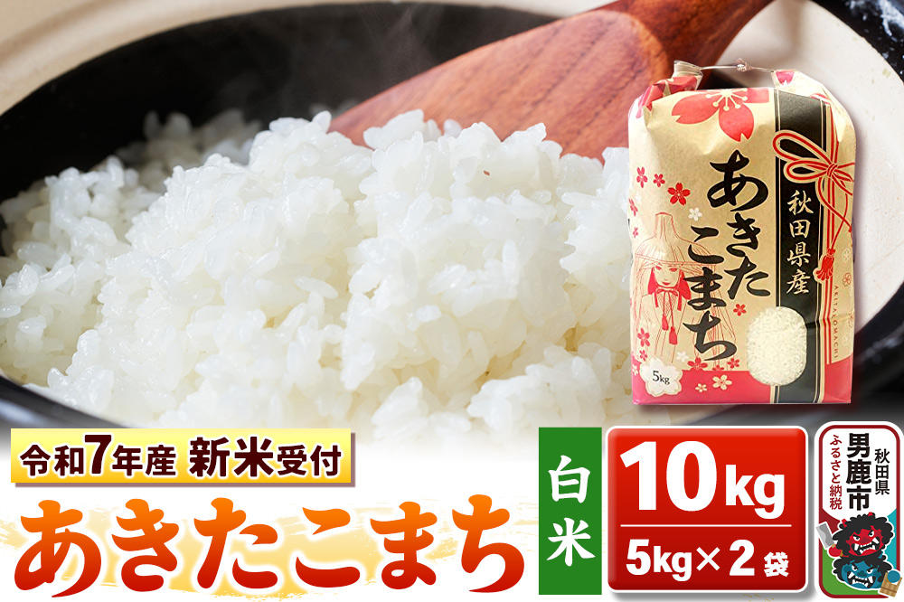 《令和7年産 新米受付》【白米】秋田県産 あきたこまち 10kg（5kg×2袋）秋田県 男鹿市 こまちライン