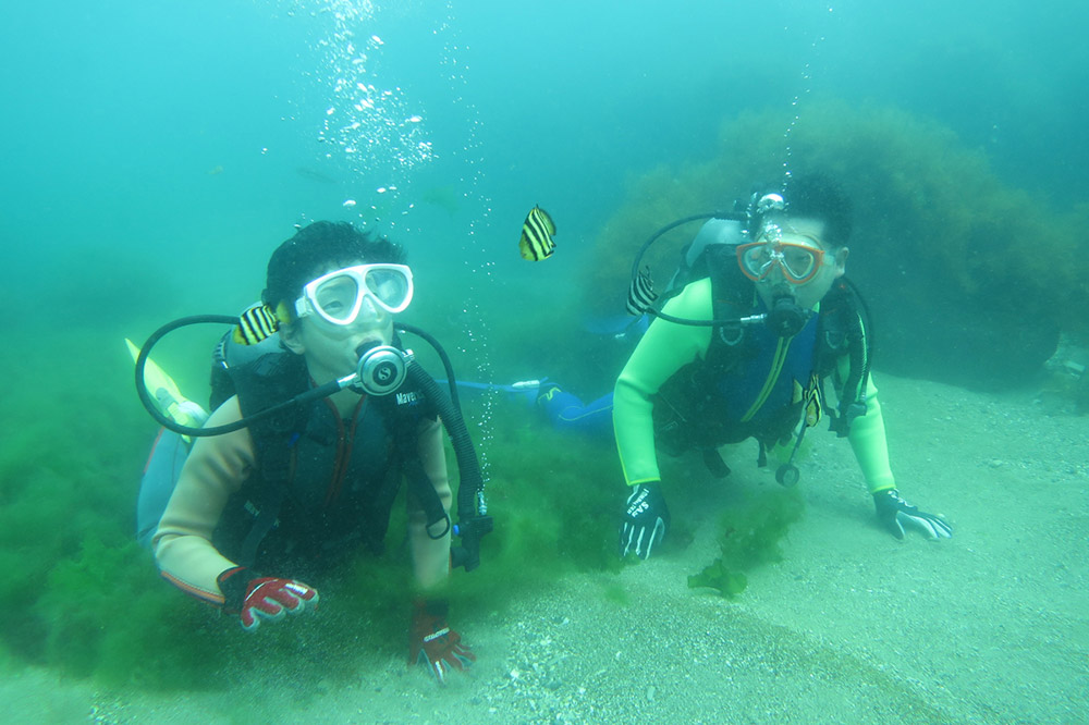【なまはげの海でダイビング！！】 海洋体験ビーチダイビング 1名様 秋田県 男鹿半島 男鹿市