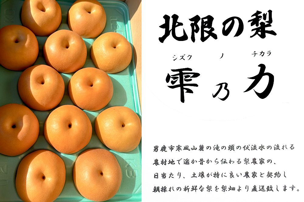 【令和8年度 早期受付】 南水 約5kg 10月中旬〜11月中旬発送 梨 旬の果物 ギフト 秋田県 男鹿市 男鹿ファーム直売所