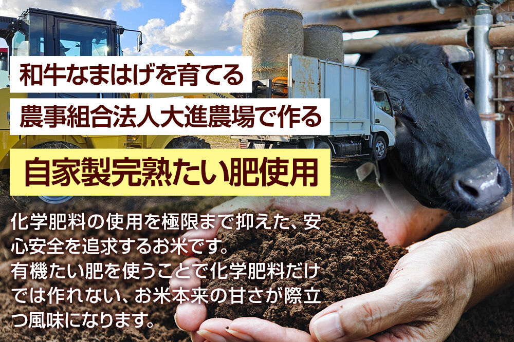 令和7年産 ミルキークイーン（精米）10kg（5kg×2袋）白米 こめ お米 秋田県 男鹿市 大進農場 [こめ 秋田 男鹿市 ミルキークイーン 白米]