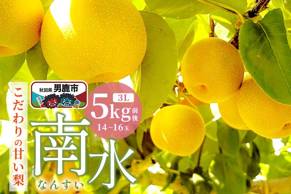 【先行受付】10月中旬〜下旬発送 南水 梨 こだわりの甘い梨 5kg前後 3L 14〜16玉 産地直送 旬の果物 ギフト 秋田県 男鹿市 [日本梨 梨 なし ナシ 南水 なんすい ナンスイ]