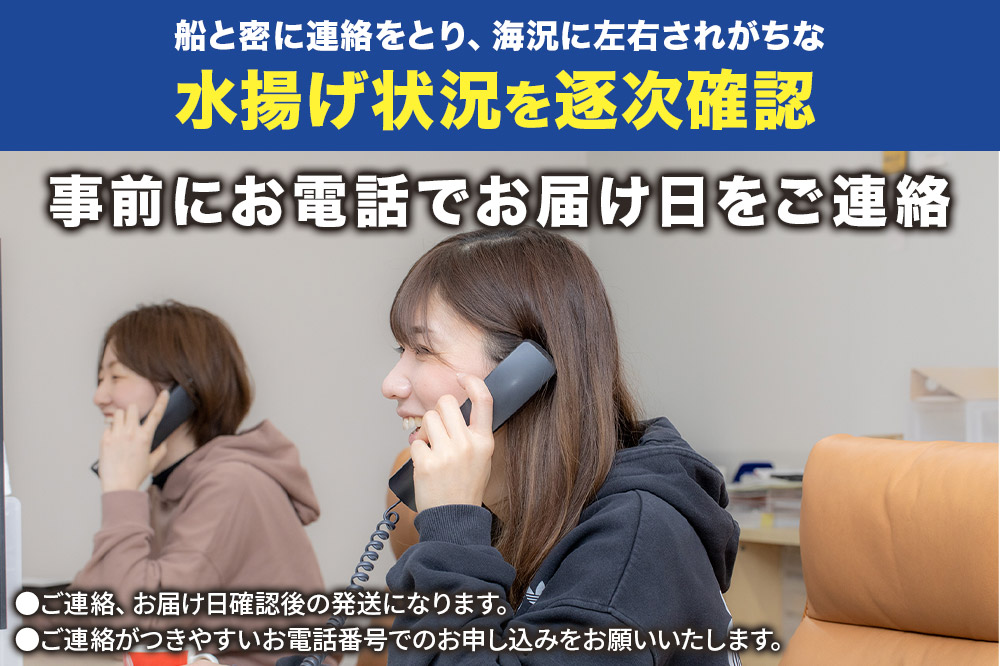 男鹿沖産紅ズワイガニ 550g 前後×4杯 男鹿なび 蟹 カニ 国産 秋田 ずわい蟹 ずわいガニ