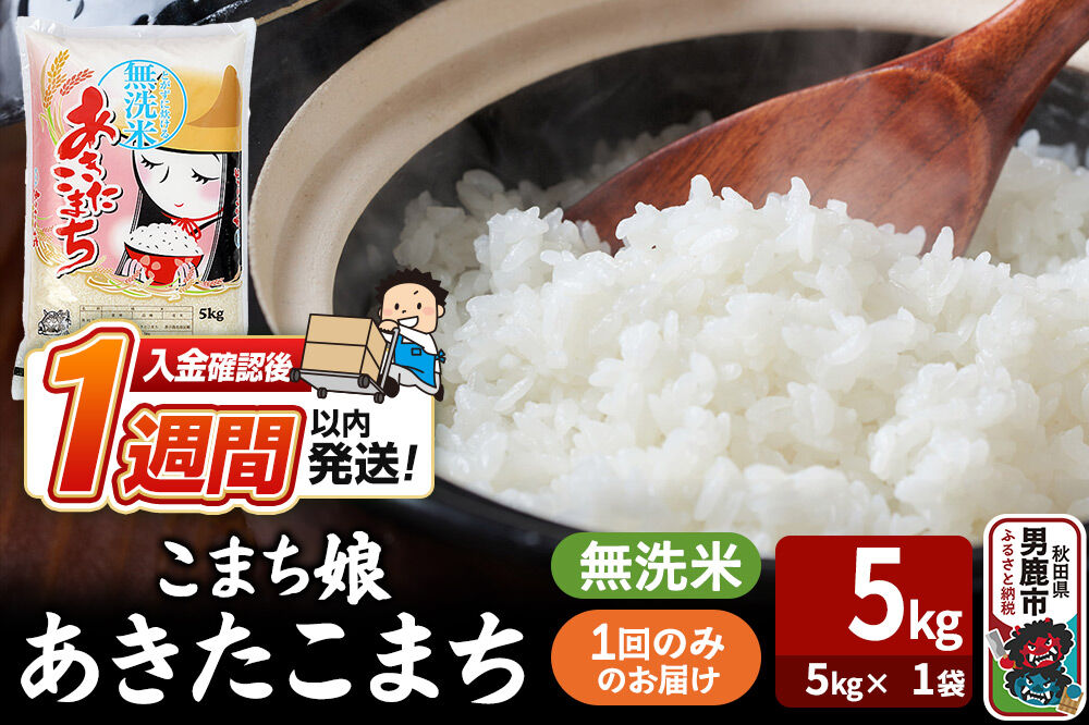 令和7年産『こまち娘』あきたこまち 無洗米（5kg×1袋）吉運商店 秋田県 男鹿市 お米 お弁当 おにぎり [米 こめ コメ 無洗米 あきたこまち 秋田県 男鹿市 5kg]