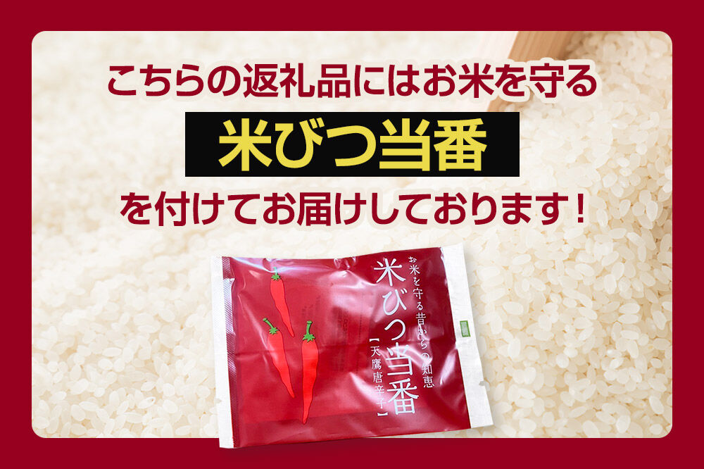 《令和8年産新米受付》 あきたこまち 精米 5kg（5kg×1袋） 【定期便3ヶ月】 吉元耕業 秋田県 男鹿市 [新米 あきたこまち ブランド米 お米 白米 精米 米どころ 秋田 男鹿市 秋田県産 あきたこまち ブランド米 お米 白米 精米 米どころ 秋田 男鹿市 秋田県産]