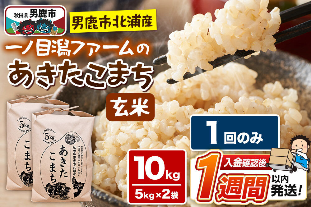 ＜令和7年産＞「秋田県男鹿市北浦産」あきたこまち（玄米）10kg（5kg×2袋） [あきたこまち ブランド米 お米 玄米 米どころ 秋田 秋田県産 男鹿市北浦産]