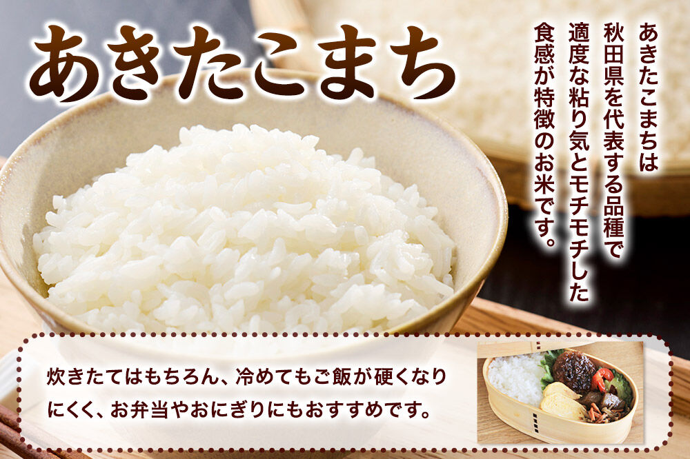 あきたこまち ＜令和8年産 新米受付＞ 白米 10kg（5kg×2袋） 鈴木農産 [あきたこまち ブランド米 お米 白米 精米 米どころ 秋田 秋田県産 定期便]