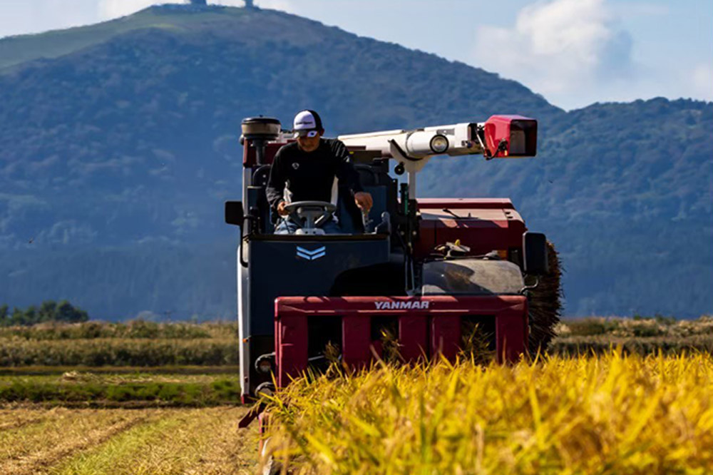 米 【定期便6ヶ月】令和7年産 あきたこまち 精米 10kg（5kg×2袋）6ヶ月連続発送（合計 60kg）秋田県 男鹿市