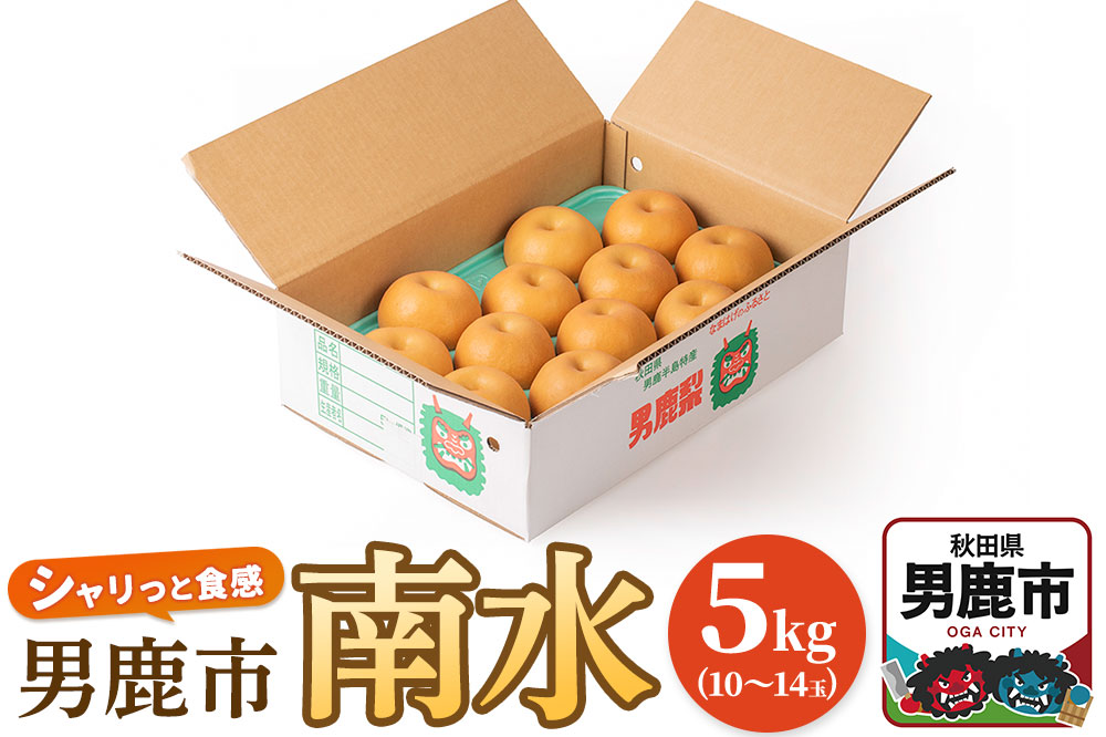 【令和8年度 早期受付】南水 5kg 10玉〜14玉 梨 なし ナシ 秋田県 男鹿市 旬の果物 フルーツ