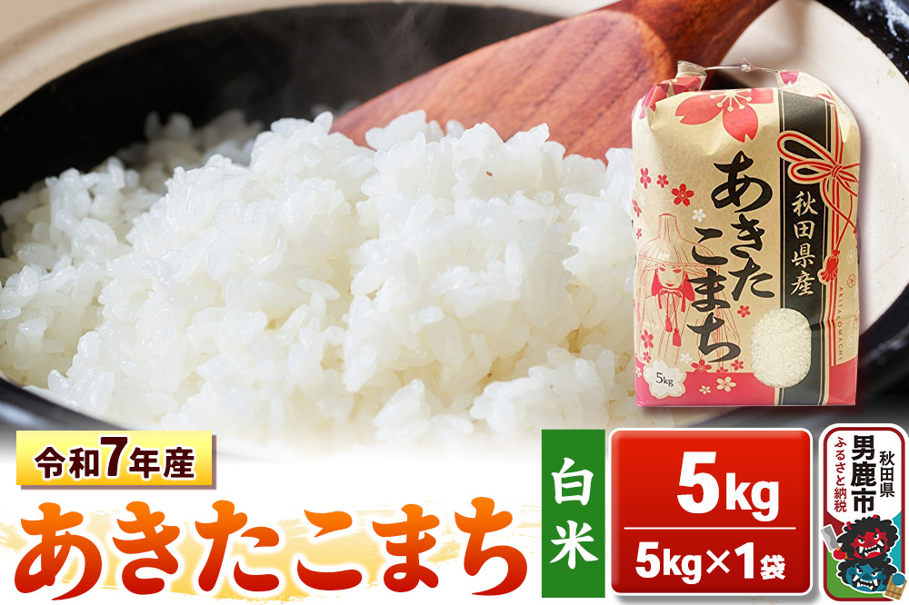 令和7年産【白米】秋田県産 あきたこまち 5kg 秋田県 男鹿市 こまちライン