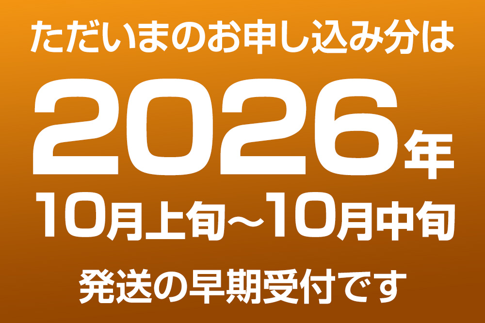 【先行受付】 男鹿梨 秋泉 梨 約5kg「伊藤梨園」  4L 11玉〜12玉 秋田県 男鹿市