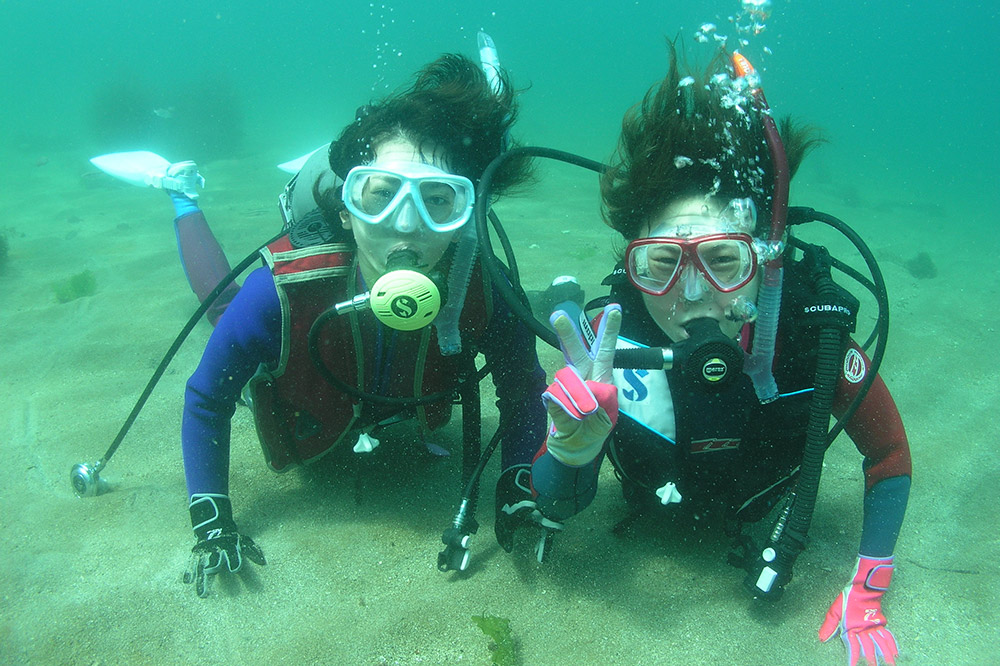 【なまはげの海でダイビング！！】 海洋体験ビーチダイビング 1名様 秋田県 男鹿半島 男鹿市