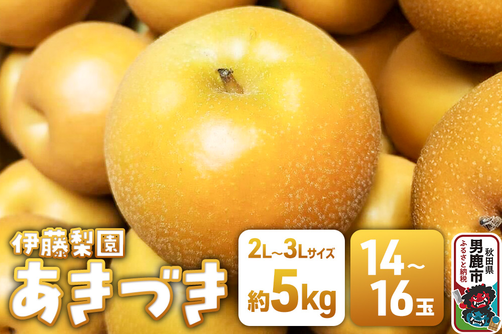 【先行受付】 男鹿梨 あきづき 梨 約5kg 「伊藤梨園」 2L〜3L 14玉〜16玉 秋田県 男鹿市