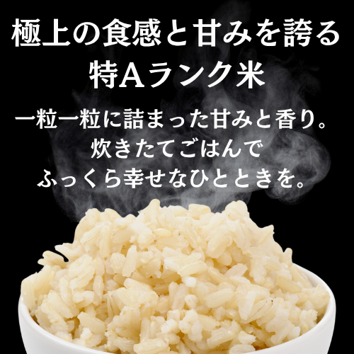 《定期便3ヶ月》令和8年産 秋田県産 あきたこまち 10kg 玄米【(株)鈴木又五郎商店】[O2303]