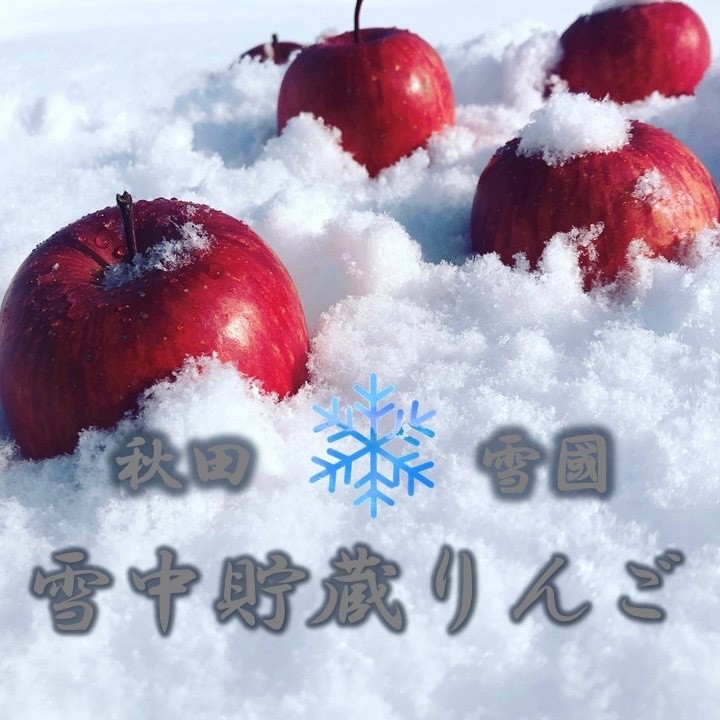 雪中貯蔵 りんご ふじ 贈答用 6玉入り[B2-9905]