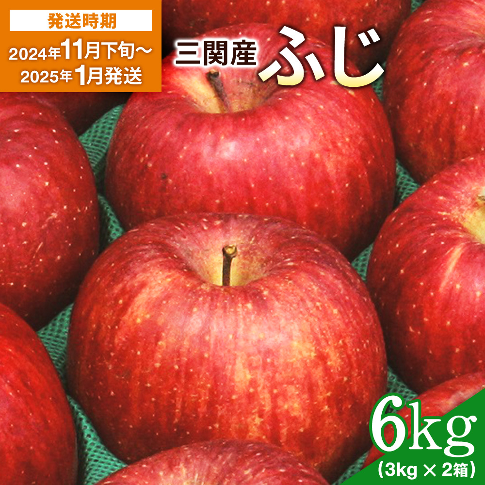 B3-2603　三関産りんご（ふじ）6kg（3kg×2箱）