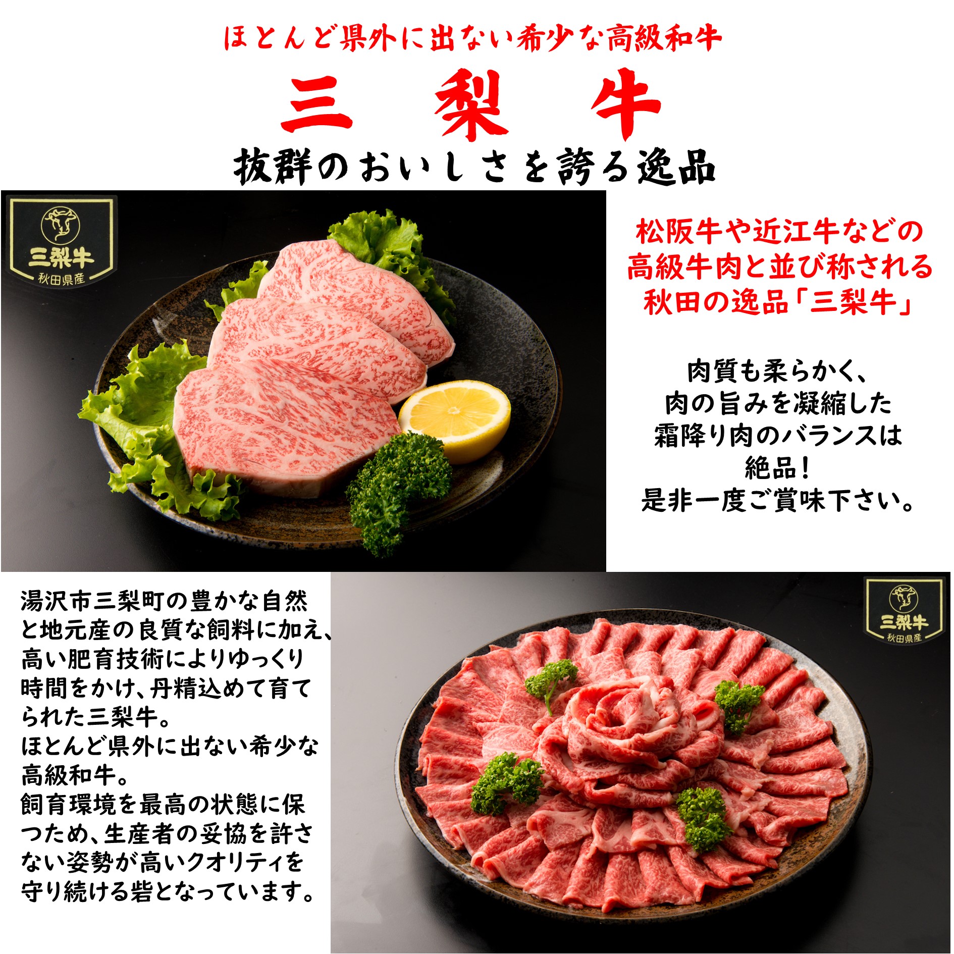 特選肉セット3人前＋湯沢酒粕牛タン[C1602]