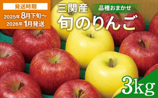 三関旬のりんご 秀品 3kg （8玉～12玉） 満杯詰め 三関産 旬 りんご 品種お任せ 果物 フルーツ 秋田県 三関 【三関果樹研究会】[L15101]