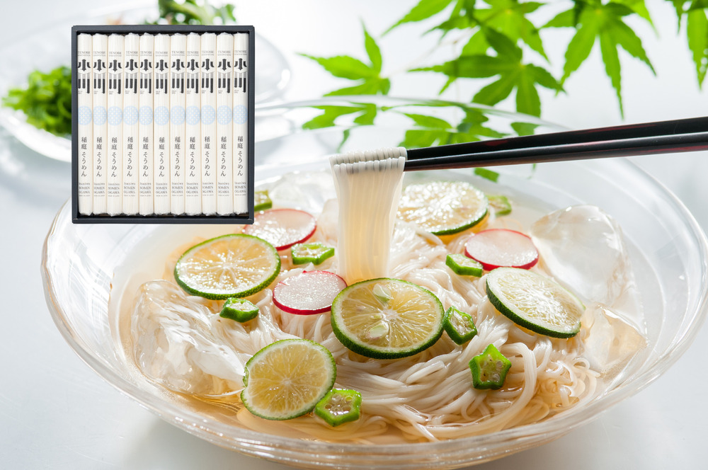 小川の稲庭そうめん VS-40【稲庭うどん小川】[B1-0502]